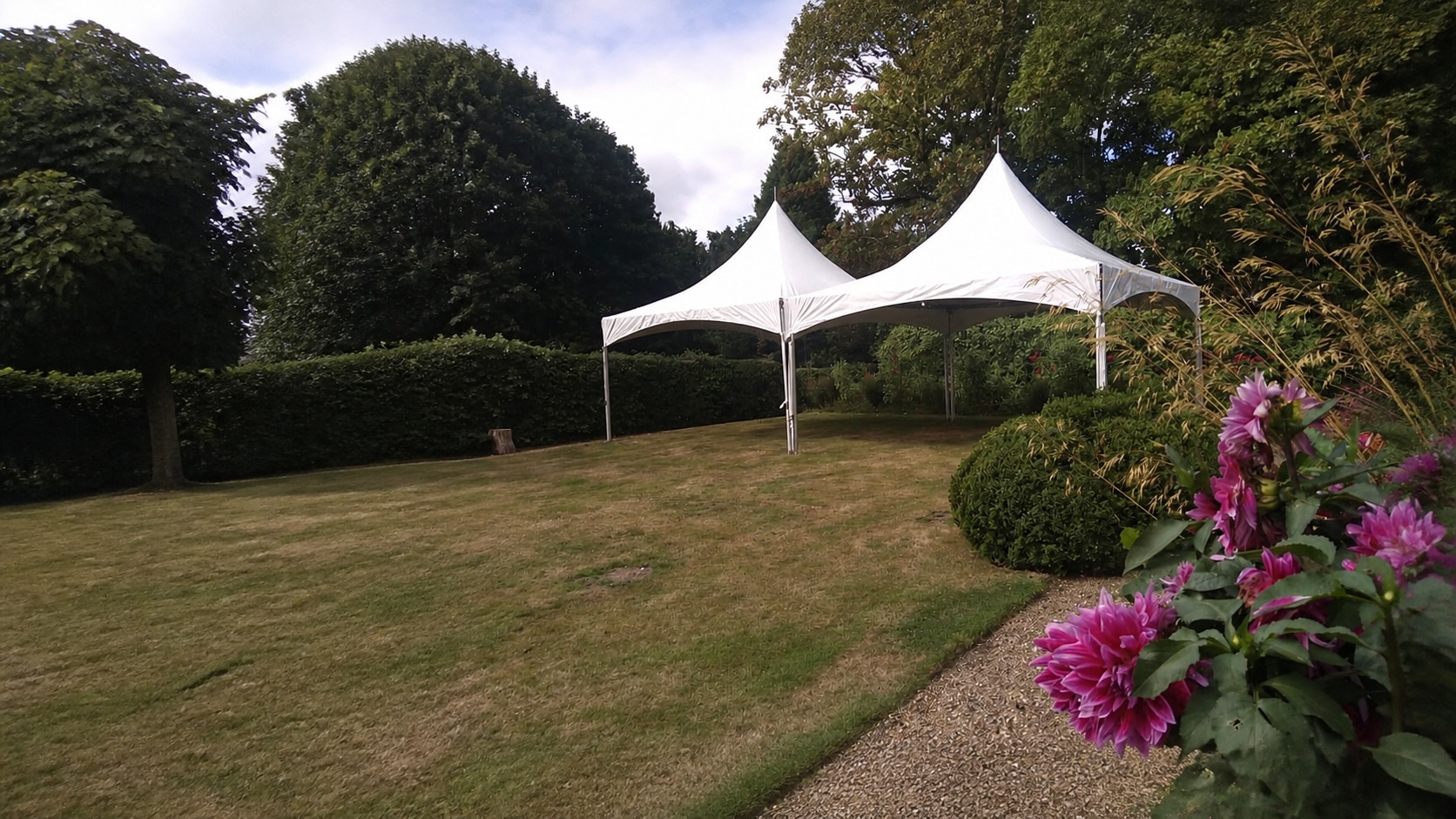 Two joined Pagoda tents